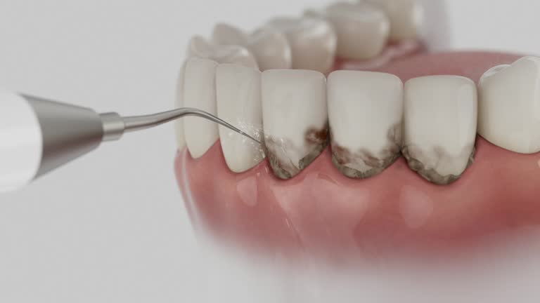 Reliable Dental contractor in Ceredo, WV by Dentist Open Now
